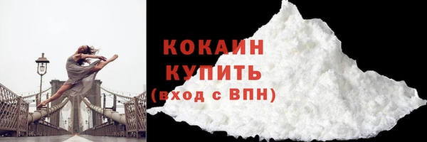 дживик Верхний Тагил