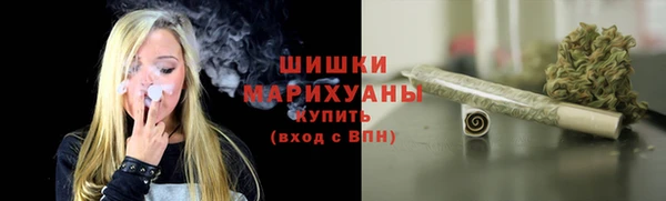 дживик Верхний Тагил