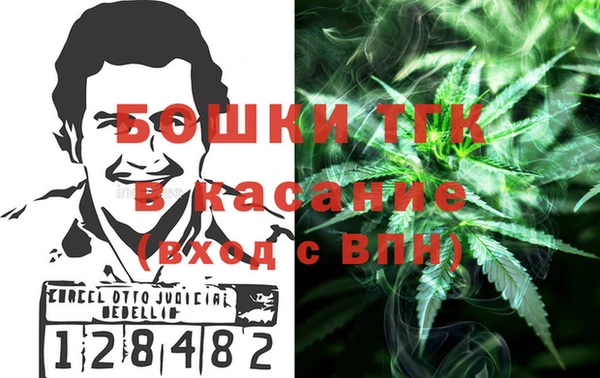 дживик Верхний Тагил