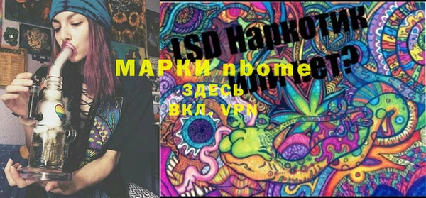 прущие крисы Бородино