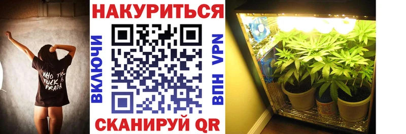 darknet Telegram  Гдов  Бошки марихуана планчик 